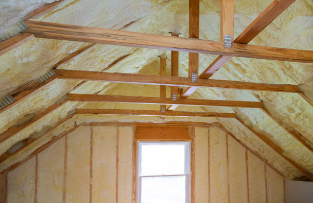 Best Insulation Replacement Services  in Posen, IL
