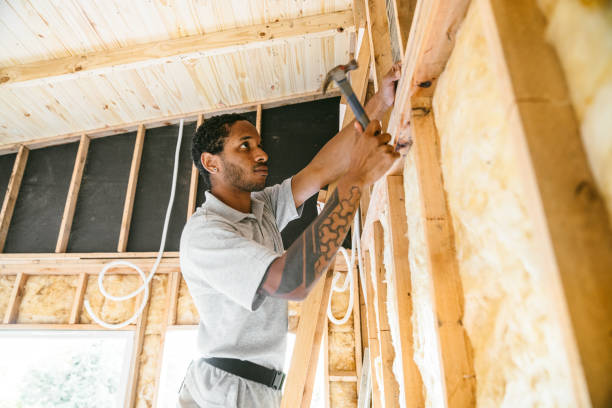 Best Insulation Inspection Services  in Posen, IL