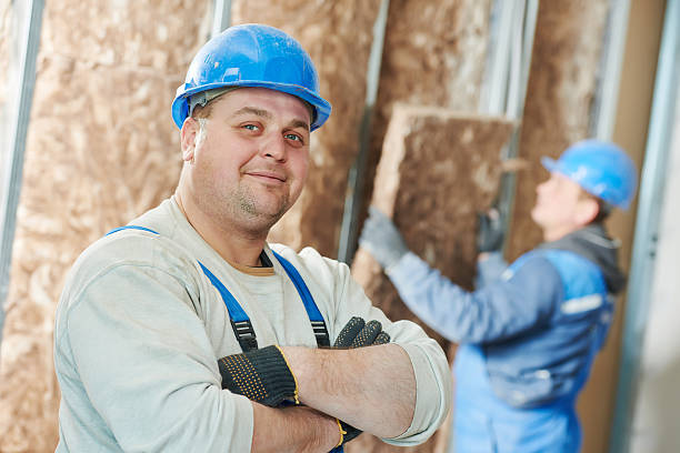 Best Home Insulation Services  in Posen, IL