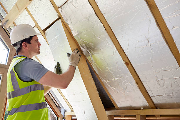 Best Best Insulation Companies  in Posen, IL